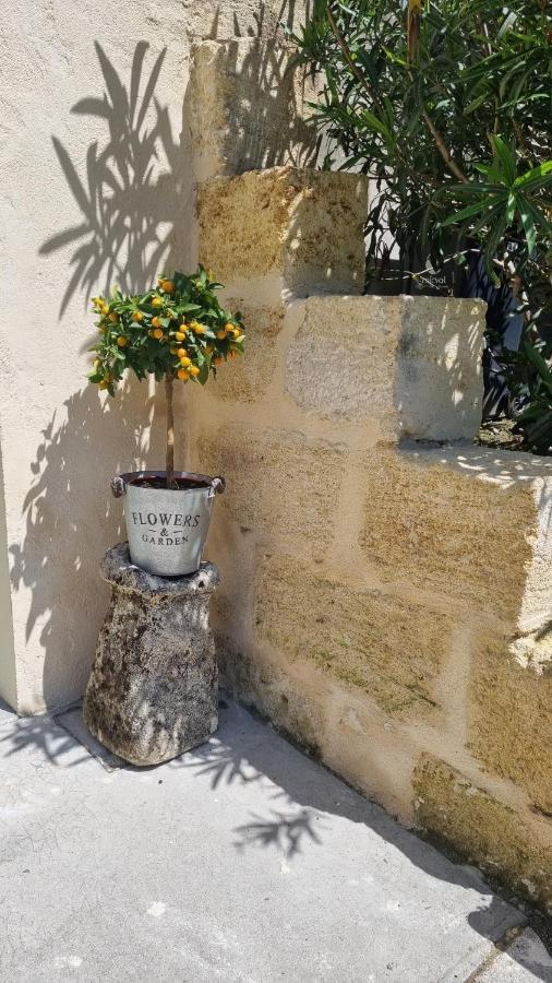Chambre Saint Emilion - Le Clos D'Antan Les Artigues-de-Lussac Kültér fotó